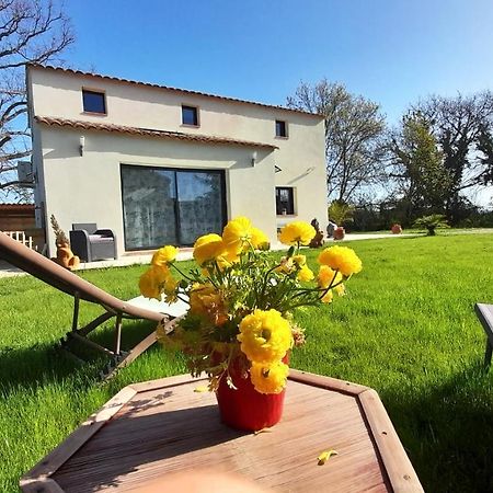 Villa Sandrine, Confortable Et Cosy Proche D'Aix En Provence Meyrargues Kültér fotó